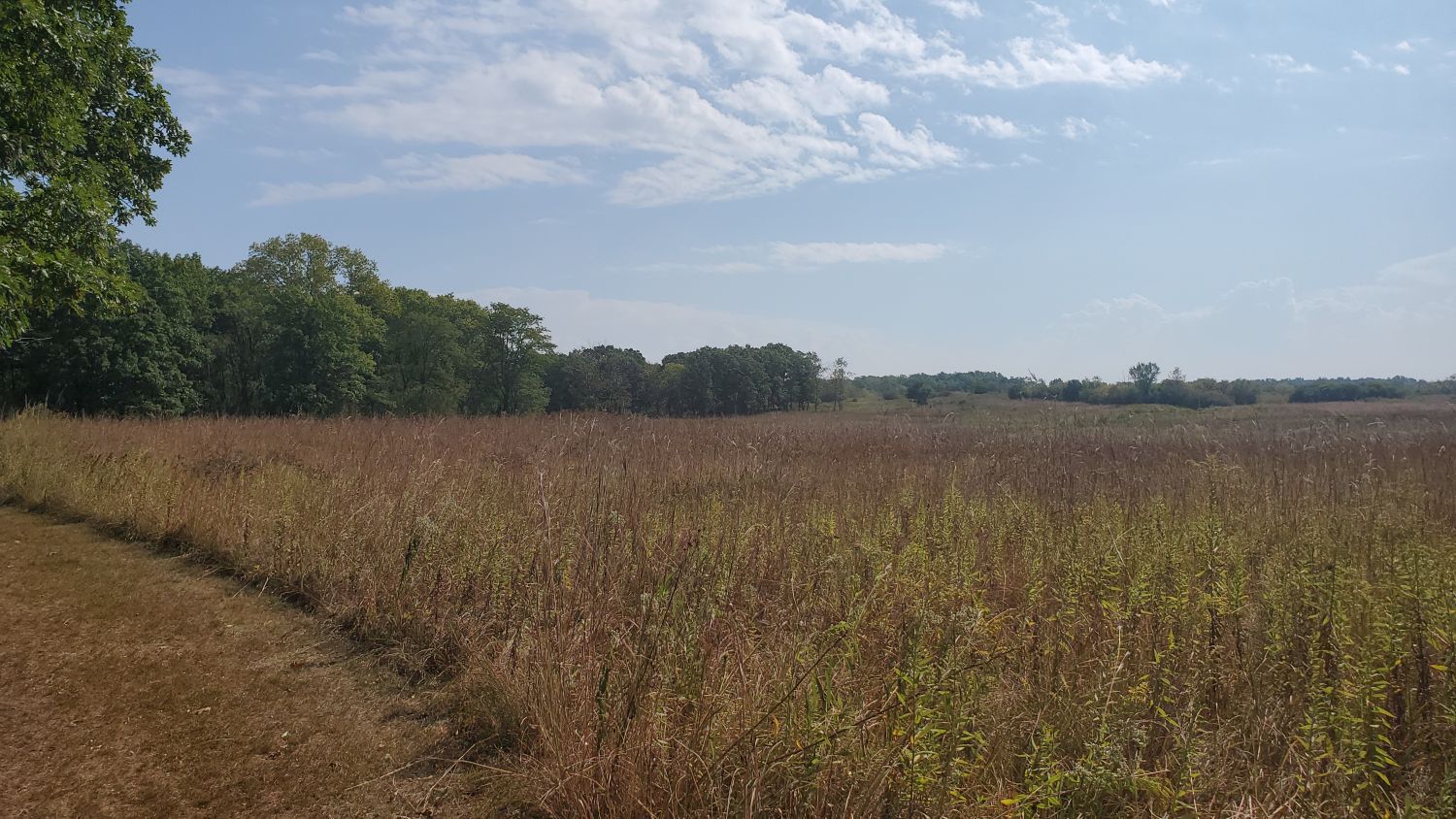 Crab Tree Nature Center 